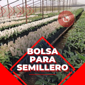Bolsa para semillero